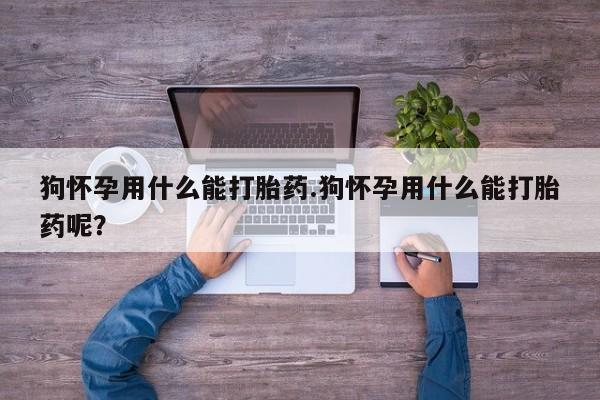 米非米索联系方式新闻 第54页