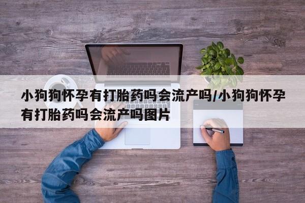米非米索联系方式小狗狗怀孕有打胎药吗会流产吗/小狗狗怀孕有打胎药吗会流产吗图片