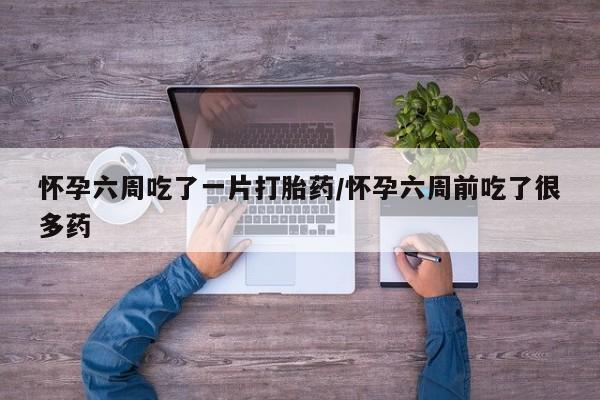 米非米索联系方式新闻 第12页