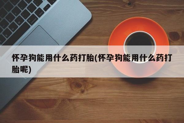 米非米索联系方式怀孕狗能用什么药打胎(怀孕狗能用什么药打胎呢)